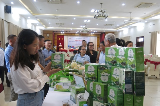 Mở hướng cho doanh nghiệp chế biến nông sản Hải Phòng