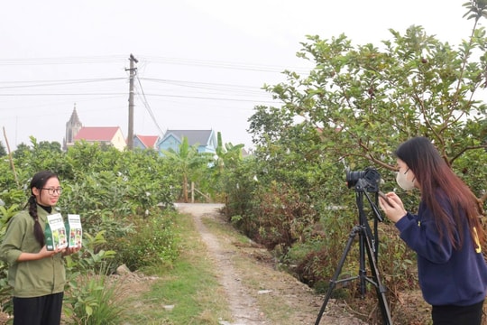 Nhiều hoạt động hưởng ứng Tuần lễ 'Thương mại điện tử quốc gia và Ngày mua sắm trực tuyến'