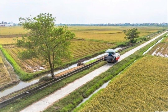 New-style rural areas gain vitality through model projects