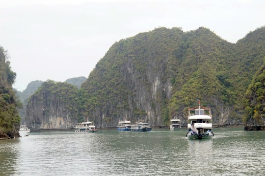 Hợp lực bảo tồn và phát huy lợi thế di sản chung Hạ Long - Cát Bà