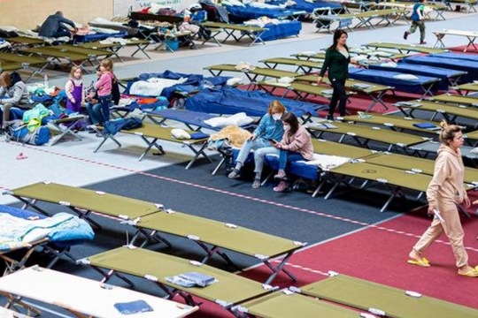 Đức sắp chấm dứt chế độ ưu tiên đối với người tị nạn Ukraine