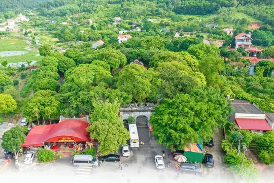 Những điều ít biết về đền Sinh, đền Hóa