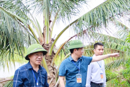 Hoàn thành giải phóng mặt bằng dự án khu đô thị mới Dương Kinh - Kiến Thuỵ