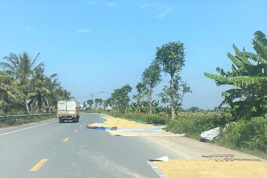 Phơi thóc trên đường gây mất an toàn giao thông