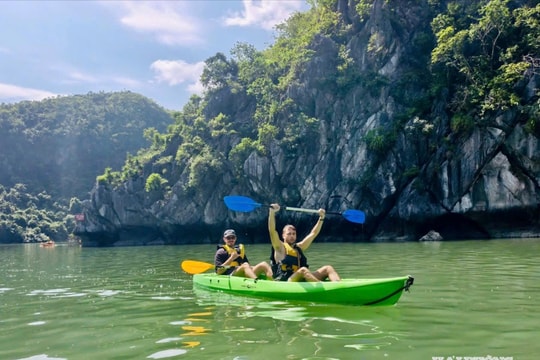 Cát Bà không 'ngủ đông'