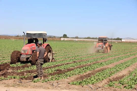 Cuộc cạnh tranh khoáng sản quan trọng mới tiếp theo trên toàn cầu