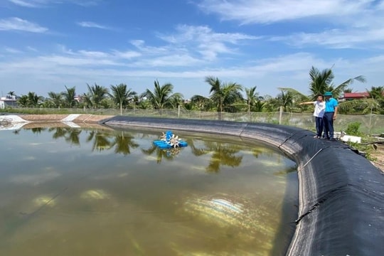 Lao đao nghề nuôi thủy sản ở Dương Kinh