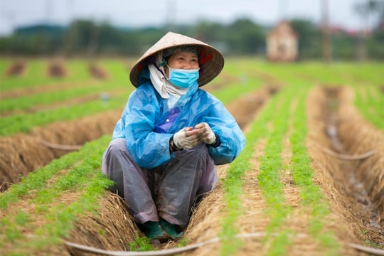 Xuýt xoa trong cái lạnh chớm đông