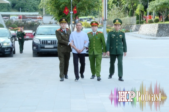 Bản tin 5 phút an ninh trật tự ngày 20/11/2025