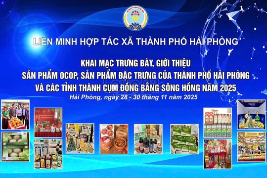 Nhiều địa phương tham gia trưng bày sản phẩm OCOP, đặc sản tại Hải Phòng vào cuối tháng 11