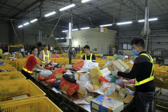 Bưu điện 'chạy đua' chuyển phát mùa cao điểm cuối năm
