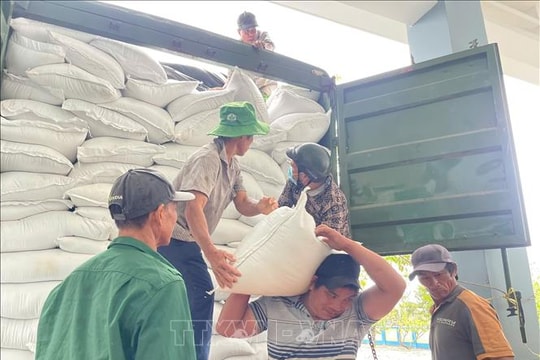 Xuất cấp 4.000 tấn gạo dự trữ quốc gia cho Gia Lai, Đắk Lắk, Lâm Đồng