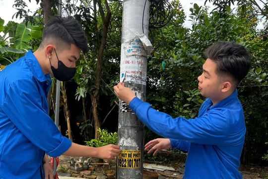 Tuổi trẻ Hải Phòng ra quân Ngày Chủ nhật xanh năm 2025