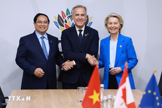 Thiết lập Đối thoại Thương mại và Đầu tư CPTPP-EU là bước tiến quan trọng nhằm củng cố trật tự thương mại toàn cầu
