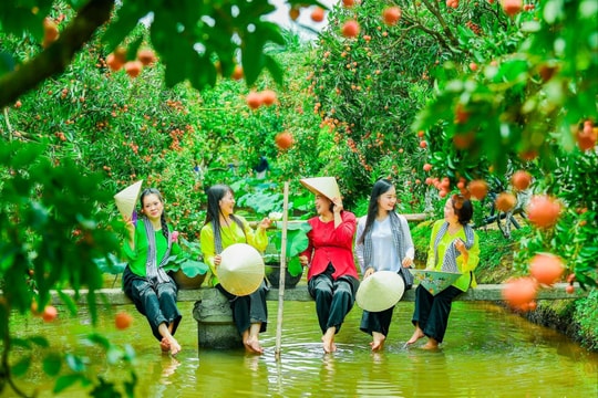 Hải Phòng phát huy lợi thế từ du lịch nông thôn