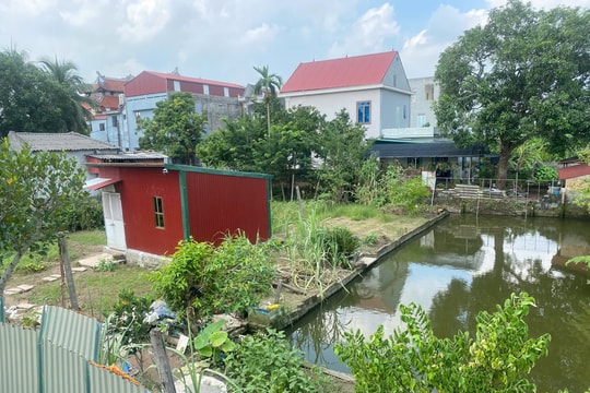 Tranh chấp quyền thừa kế đất đai thành mâu thuẫn gia đình