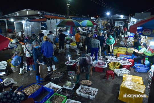 Chợ cá Ngọc Hải về đêm