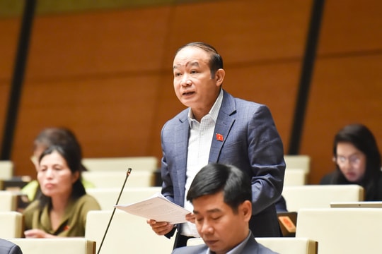 Nếu không quy định rõ sẽ dễ dẫn đến xin - cho trong lựa chọn nhà đầu tư