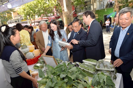 Nhiều hoạt động trong Tháng hành động vì hợp tác xã