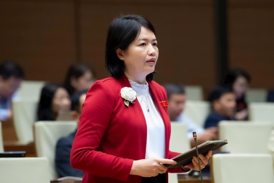 Đề xuất các dự án y tế, giáo dục được quyết định đầu tư khác quy hoạch, phù hợp yêu cầu phát triển