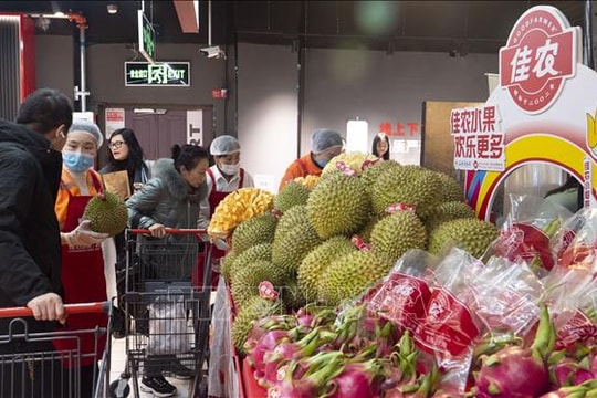 Quảng bá sản phẩm, trái cây Việt Nam tại Trung Quốc