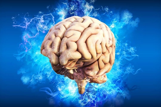 Ăn kiêng ở tuổi trung niên có thể gây hại cho não
