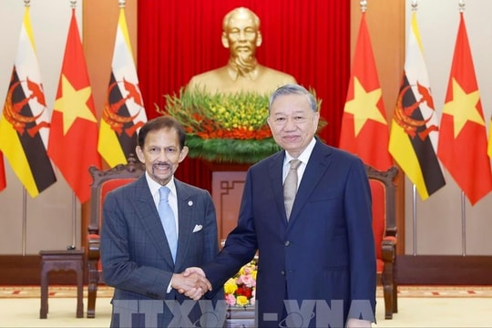 Tổng Bí thư Tô Lâm tiếp Quốc vương Brunei