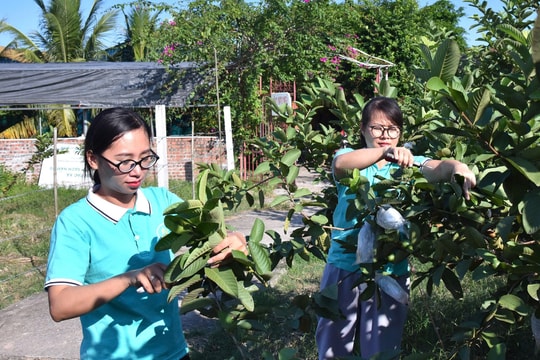 Đẩy mạnh xúc tiến thương mại, mở rộng thị trường cho hợp tác xã