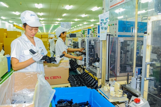 Thu nhập bình quân của người lao động năm 2025 đạt 8,31 triệu đồng/tháng