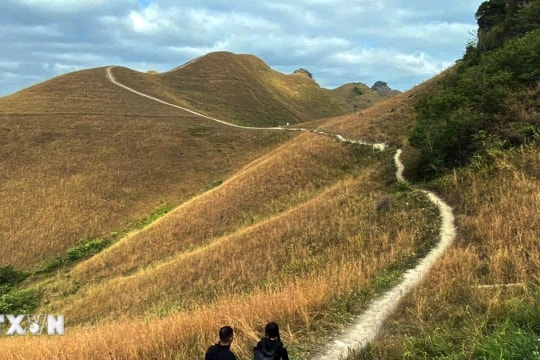 Khám phá đồi cỏ Ba Quáng - vẻ đẹp hoang sơ, thanh bình giữa núi rừng biên giới