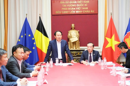 Bí thư Thành ủy Lê Tiến Châu mong muốn Đại sứ quán Việt Nam tại Bỉ là cầu nối phát triển giúp Hải Phòng