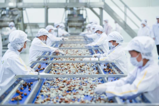 Xuất khẩu thủy sản xác lập kỷ lục mới với kim ngạch vượt 11 tỷ USD