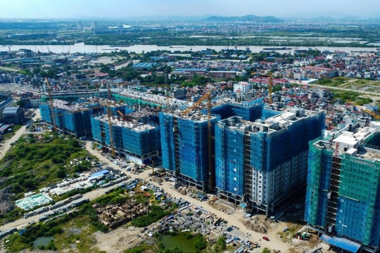 Đẩy mạnh đấu thầu dự án có sử dụng đất