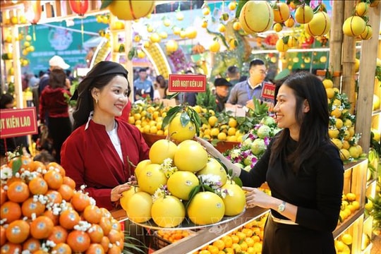 Khám phá vùng cây ăn quả Bắc Ninh