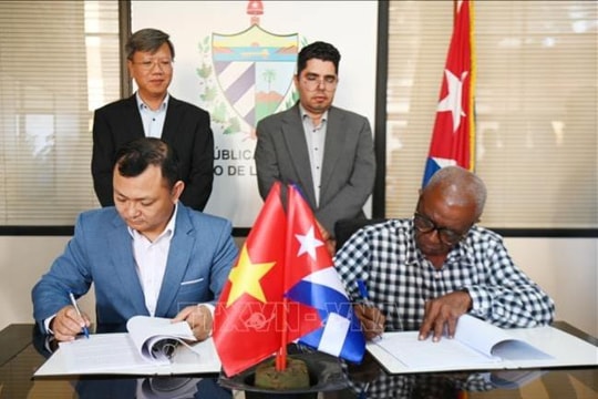 Doanh nghiệp Việt Nam đầu tư trồng điều ở Cuba
