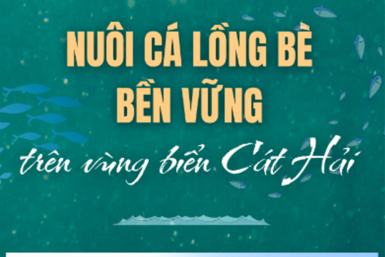 Nuôi cá lồng bè bền vững trên vùng biển Cát Hải