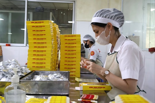 Chỉ số sản xuất công nghiệp 11 tháng của Hải Phòng tăng 15,14%
