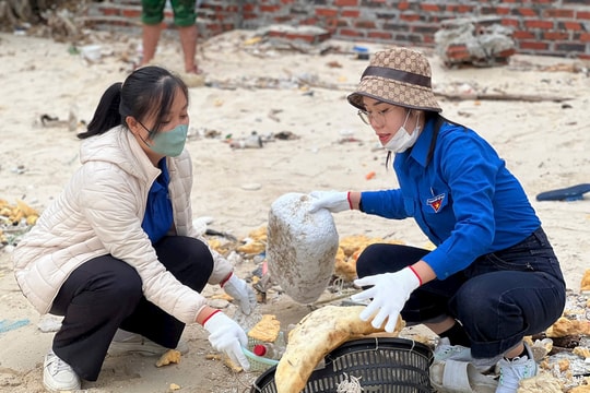 Gìn giữ di sản Cát Bà từ những việc làm nhỏ