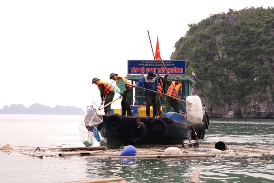 Bảo vệ môi trường là 'chìa khóa' của phát triển bền vững