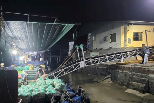 Ngăn chặn kịp thời vụ thả ngao giống trái phép trên bãi triều cửa sông Văn Úc