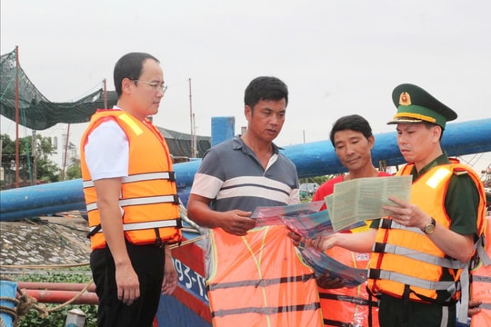 Hải Phòng tăng cường quản lý bãi triều, giữ vững an ninh vùng biển
