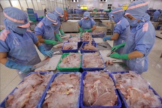 Xuất khẩu thủy sản có thể lập kỷ lục mới trong năm 2025