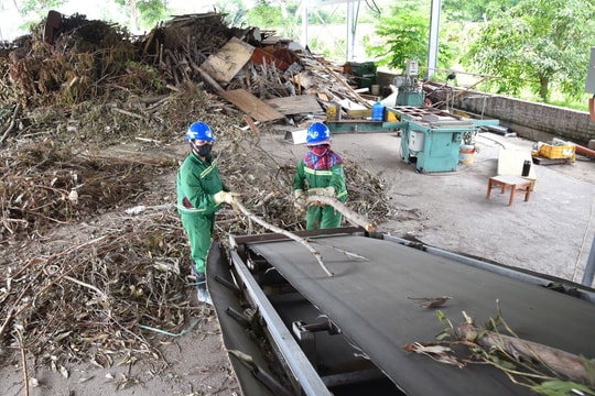 Hải Phòng thúc đẩy phân loại rác tại nguồn
