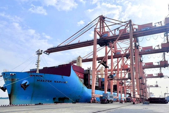 Chi nhánh Cảng Tân Vũ 5 năm liên tục đón 1 triệu TEU container