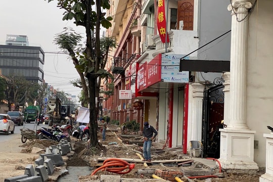 Thấy 'đào' đường là sắp Tết?