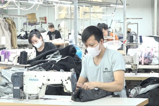 Businesses supported to improve productivity, product quality
