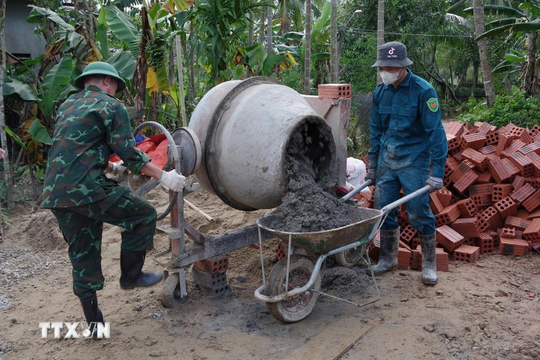 Miễn phí chuyển 1 triệu viên gạch trong 'Chiến dịch Quang Trung' bằng tàu hỏa