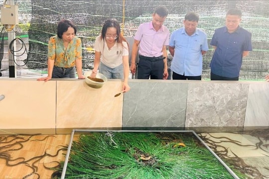 Hải Phòng nâng cao sản lượng thủy sản
