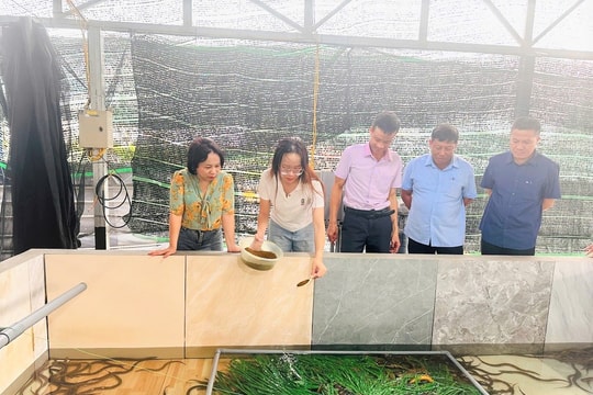 Hai Phong boosts aquaculture output