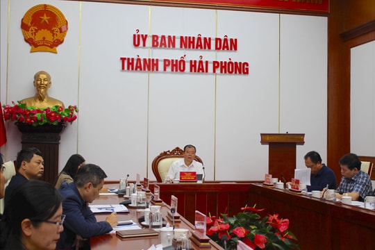 Xem xét phương án sắp xếp trường học và các chính sách phát triển giáo dục ở Hải Phòng